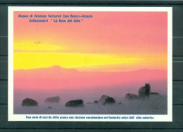 Italie 2001 - Carte Postale "une Meute De Chiens De Traîneau" - Antarctische Fauna