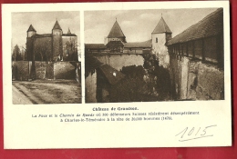 DVA-07 Multivues Du Château De Grandson, Célèbre Pour La Bataille Contre Charles-le-Téméraire  Non Circulé - Grandson