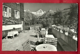 DDI-04  Hotel-Pension Bietschhorn In Bürchen Raron. TErrasse. Gelaufen In 1960 - Bürchen