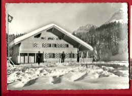 DDI-09 Les Paccots Sur Châtel-St-Denis Chalet Des Rosaly Et Dent De Lys. Circulé - Autres & Non Classés