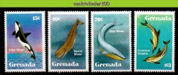 Nbu074 FAUNA ZEEZOOGDIEREN WALVIS DOLFIJN DOLPHIN WHALE SEA MAMMALS BALEINES MARINE LIFE GRENADA 1982 PF/MNH - Baleines