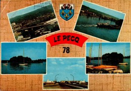 78-LE PECQ..5 VUES....CPM - Le Pecq