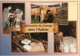 Fabrication Du Fromage Dans L'Aubrac (tome D'aligot Et Fourme) - Multivues - 01 S11 - Editions APA-POUX - TBE - Recettes (cuisine)