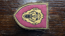 Insigne De Manche De Division D'infanterie Belge 1 - Luchtmacht