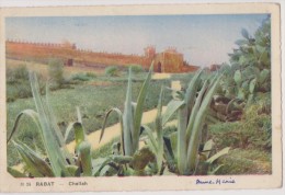 CARTE POSTALE ANCIENNE,MAROC,RABAT ,CHELLAH EN 1950,fleurs,monument Historique De 2300 Ans,rare - Rabat