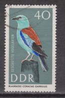Duitsland Allemagne Deutschland Germany Alemania DDR Used ; Scharrelaar Roller Vogel Oiseau Ave Bird - Koekoeken En Toerako's