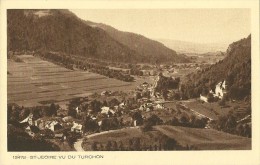 HAUTE SAVOIE SAINT JEOIRE 13472 VU DU TRONCHON EDIT. BRAUN NON ECRITE - Saint-Jeoire