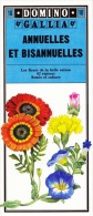 GUIDE DOMINO GALLIA N°10 COULEUR EN FORME DE CARTE ROUTIERE 24 PLANCHES 11cmX25cm FLEURS ANNUELLES ET BISANNUELLES 82 ES - Other Plans