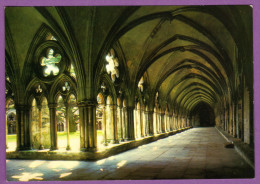 SALISBURY Cathedral The Cloisters Walk Carte Non Circulé - Salisbury