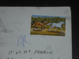 LETTRE TURQUIE TURKIYE AVEC YT 3005 - CHEVAL CHEVAUX HORSE - MULTIVUES - - Briefe U. Dokumente