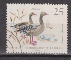 Duitsland Allemagne Deutschland Germany Alemania DDR Used : Gans Goose Oie Ganso Vogel Bird Ave Oiseau - Ganzen