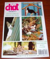 Atout Chat Hs 15 Mai 1992 Plus Belles Photos De Chats - Animali