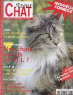 Atout Chat 285 Novembre 2008 Le Maine Coon L´Oriental Les Troubles Neurologiques Nos Chats Ont-il Un Q.I. ? - Tierwelt