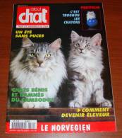 Atout Chat 112 Juin 1994 Chats Bénis Et Damnés Du Cambodge Comment Devenir Éleveur - Animali