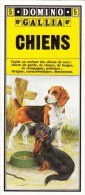 GUIDE COULEUR DOMINO GALLIA N°5 SOUS FORME DE CARTE ROUTIERE 24 PLANCHES 11cmX25cm CHIENS DE RACE GARDE CHASSE BERGER CO - Other Plans