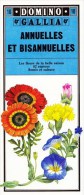 GUIDE DOMINO GALLIA N°10 COULEUR EN FORME DE CARTE ROUTIERE 24 PLANCHES 11cmX25cm FLEURS ANNUELLES ET BISANNUELLES 82 ES - Andere Pläne