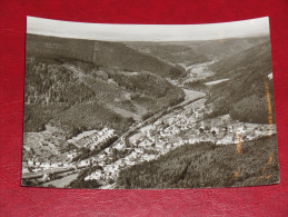 Höfen An Der Enz Enztal Karlsruhe Schwarzwald Baden Würtemberg Gebraucht Used Germany Postkarte Postcard - Baiersbronn