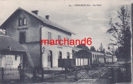 Moselle Phalsbourg La Gare Train Wagons éditeur La Cigogne - Phalsbourg