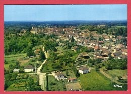 10 EVRY-le-CHATEL - Vue Générale Aérienne - Ervy-le-Chatel