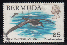 Bermuda Used Scott #379 $5.00 Bermuda Petrel (Cahow) - Palmípedos Marinos