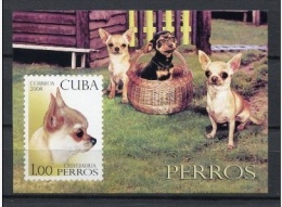 CUBA 2008 - PERROS - CHIENS  - DOGS - BLOCK - Neufs