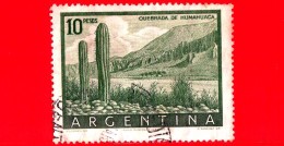 ARGENTINA - Usato -  1955 - Cactus - Valle Di Humahuaca - Quebrada De Humahuaca -  10 - Usados