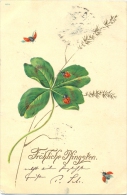 Pfingsten, Glücksklee, Marienkäfer, 1900 - Pinksteren