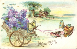 Pfingsten, Kutsche Mit Schmetterlingen, Farb-Litho, Um 1900 - Pfingsten
