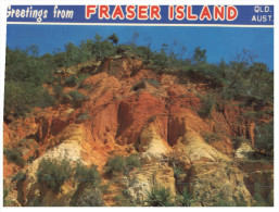 (891) Australia - QLD - Fraser Island - Sunshine Coast