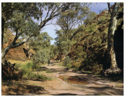 (891) Australia - SA - Flinders Range - Flinders Ranges