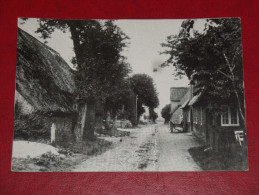 Alte Dorfstrasse Auf Der Insel Föhr Schleswig Holstein Ungebraucht Unused Germany Postkarte Postcard - Föhr