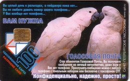 RUSSIE PERROQUETS PARROTS 100U UT - Papageien