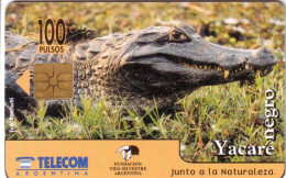 ARGENTINE ARGENTINA CROCODILE YACARE NEGRO 100U UT - Krokodillen En Alligators