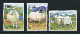 (cl 20 - P46) Irlande ** (ref. Michel Au Dos) N° 769 à 771 - Races Irlandaises De Moutons - - Ungebraucht