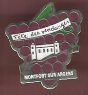 41312-Pin's.Montfort Sur Argens.fete Des Vendanges.vin.raisin.bois Son. - Cities