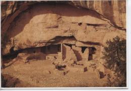 (EUA56) MESA VERDE . OAK TREE HOUSE - Mesa Verde