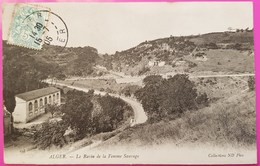 Cpa Alger Le Ravin De La Femme Sauvage Carte Postale Algérie N°103 Raffinerie Usine En Contrebas - Alger