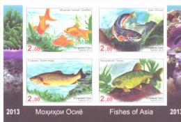 2013. Tajikistan, Fishes Of Asia, Set Of 4v Imperforated In Block, Mint/** - Tadzjikistan