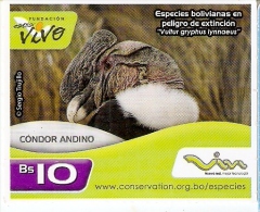 TARJETA DE BOLIVIA DE UN CONDOR ANDINO (PAJARO-BIRD) CON MARCO BLANCO - Bolivië