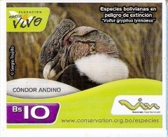 TARJETA DE BOLIVIA DE UN CONDOR ANDINO (PAJARO-BIRD) CON MARCO BLANCO - Bolivie