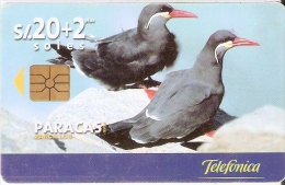 TARJETA DE PERU DE TELEFONICA 20 SOLES PARACAS TIRADA 50000 (PAJARO-BIRD) - Pérou