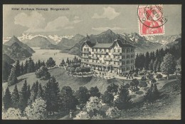 HÔTEL KURHAUS HONEGG Bürgenstock 1910 - Autres & Non Classés