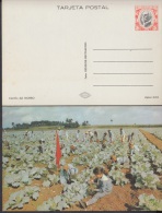 1975-EP-2 CUBA 1975. Ed.114b. ENTERO POSTAL. POSTAL STATIONERY. MAXIMO GOMEZ. SEMI-INTERNADO DE PRIMARIA. UNUSED. - Storia Postale