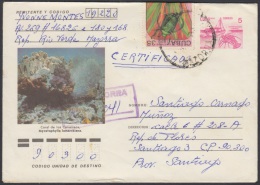 1990-EP-28 CUBA 1990. Ed.210e. ENTERO POSTAL. POSTAL STATIONERY. CORAL DE LOS CANARREOS. CERTIFICADO. MAZORRA. SEA FAUNA - Storia Postale