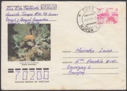 1990-EP-39 CUBA 1990. Ed.210b. ENTERO POSTAL. POSTAL STATIONERY. CORAL DE LOS CANARREOS. SEA FAUNA. MORON CIEGO DE AVILA - Briefe U. Dokumente