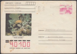 1990-EP-41 CUBA 1990. Ed.210b. ENTERO POSTAL. POSTAL STATIONERY. CORAL DE LOS CANARREOS. SEA FAUNA. C. CLASIFICACION S. - Cartas & Documentos