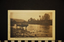 43   ENVIRONS DE RETOURNAC  CREPUSCULE SUR LA LOIRE  VACHES - Retournac