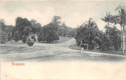 ¤¤  -     15   -  SINGAPOUR  -  SINGAPORE  -  Jardin    -  ¤¤ - Singapour