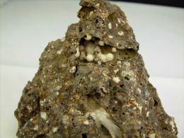 Delcampe - ARAGONITE EN BILLES ET AIGUILLES DANS BASALTE VACUOLAIRE 7, X 6, Cm PUY EN VELAY - Minerals