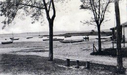 Arès. - Le Port Et Les Dunes. - Arès